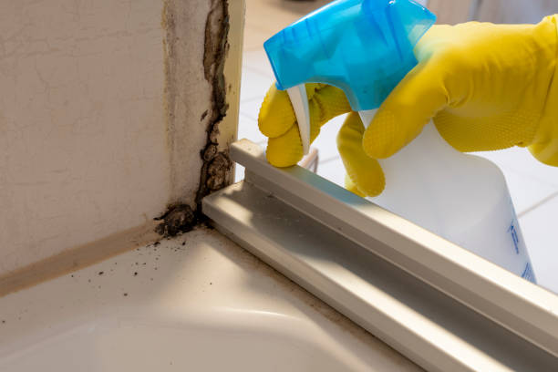 Best Mold Cleaning Services  in Garrison, ND